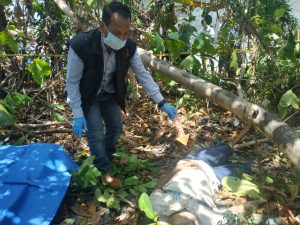 Purnawirawan TNI Ditemukan Tewas di Kebun
