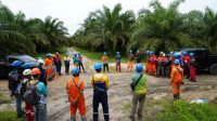 Relakan Momen Idulfitri, PLN Berhasil Pulihkan Keandalan Sistem Buntok-Muara Teweh Setelah 84 Jam Tanpa Henti Berjuang di Tengah Cuaca Ekstrem