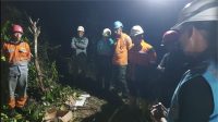 Respons Kilat PLN Gangguan Transmisi Diatasi dalam 19 Jam Meski Medan Ekstrem