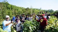 DPKP Kalsel Panen Perdana Bukit Merangkul