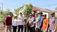 Pemprov Kalsel Gelar Aksi Penanaman Pohon,Peringati Hari Habitat dan Hari Kota Sedunia 2025